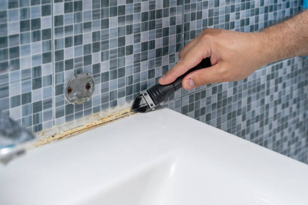Best Mold Remediation for Specific Building Types in Weslaco, TX