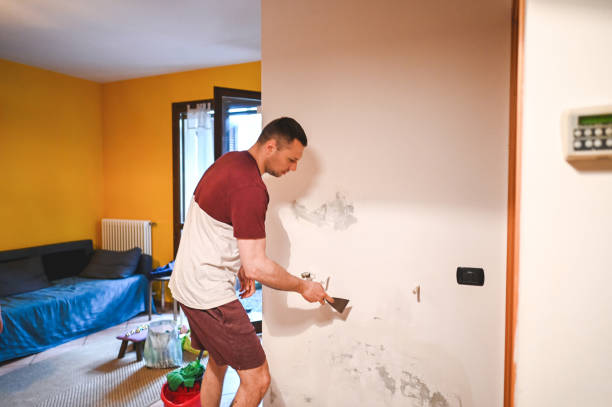 Best Insurance-Related Mold Remediation in Weslaco, TX